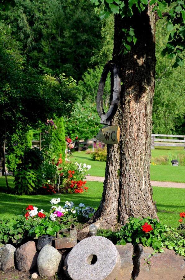 Jekaba Maja Villa Balvi Ngoại thất bức ảnh