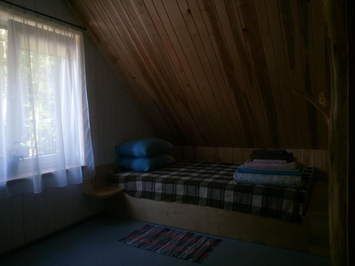 Jekaba Maja Villa Balvi Ngoại thất bức ảnh