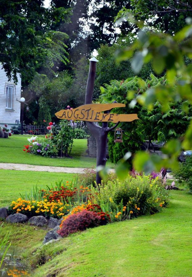 Jekaba Maja Villa Balvi Ngoại thất bức ảnh
